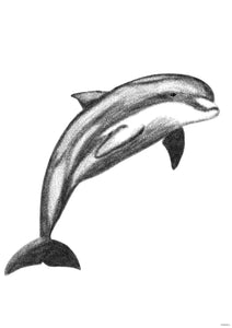 Dolphin Art Print - Sea-life Series