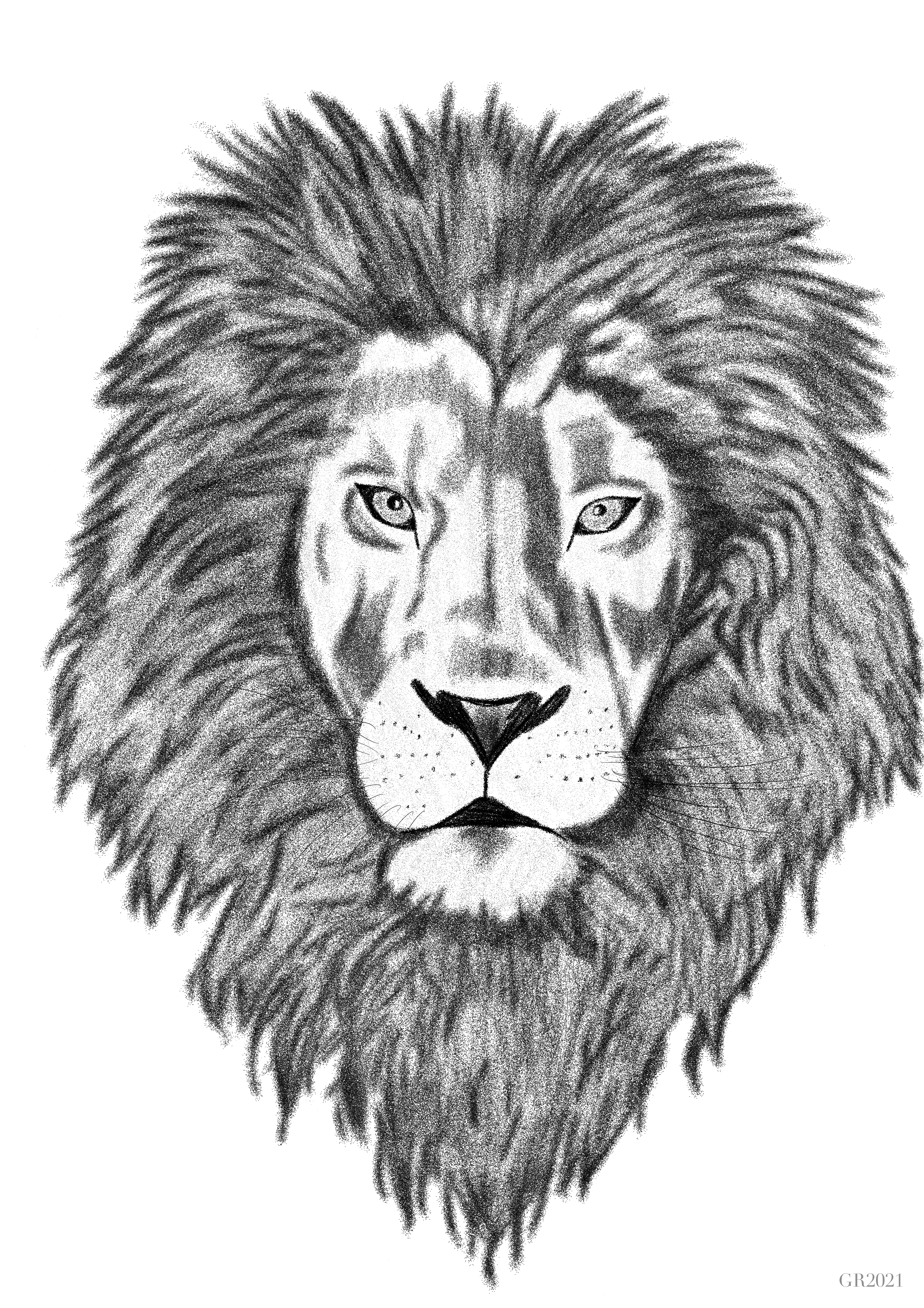 Lion Art Print