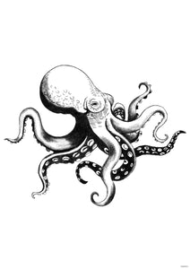 Octopus Art Print - Sea-life Series