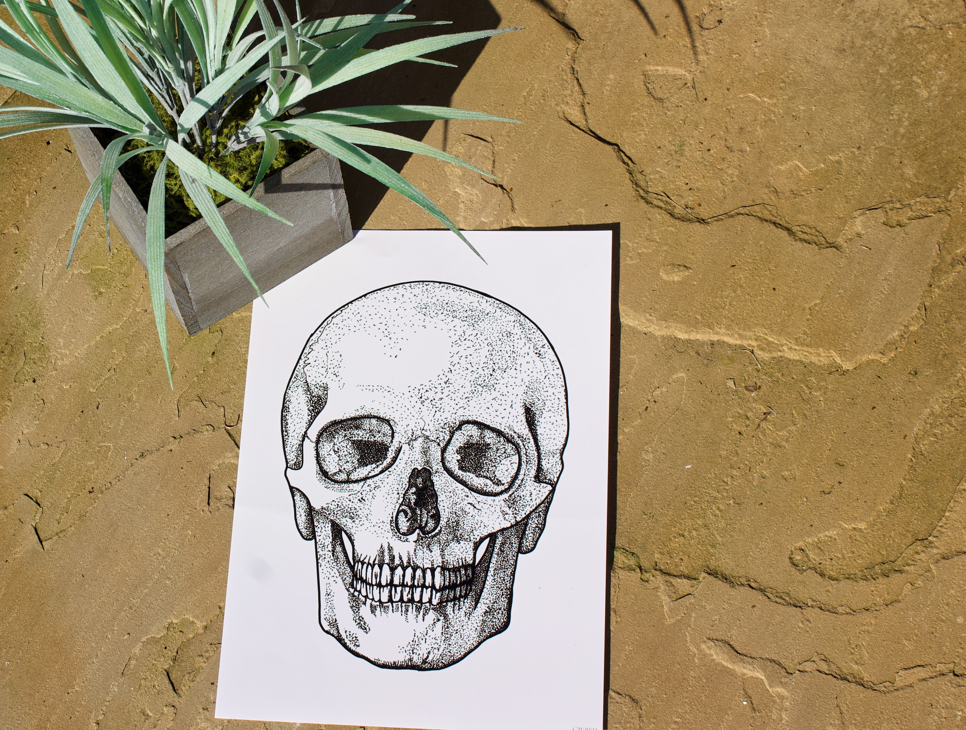 Pointillism Skull Art Print