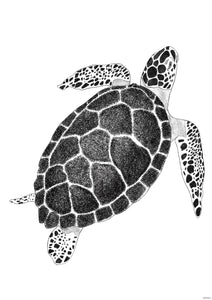 Turtle Art Print - Sea-life Series